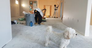 home improvement ideas