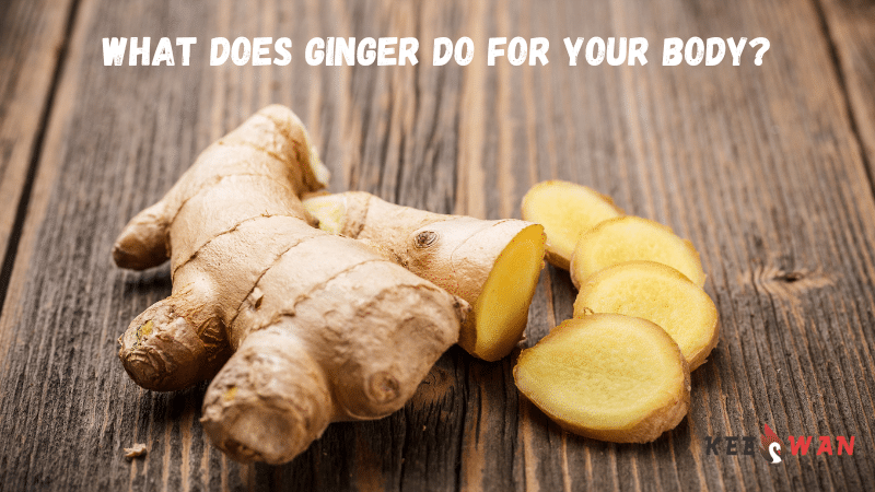 What Does Ginger Do for Your Body?