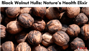 Black Walnut Hulls Nature’s Health Elixir