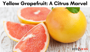 Yellow Grapefruit A Citrus Marvel